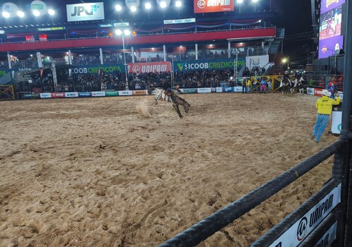Montarias em cavalos no 1° dia de Rodeio Fenamilho 2026 arrancam aplausos; veja ao vivo
