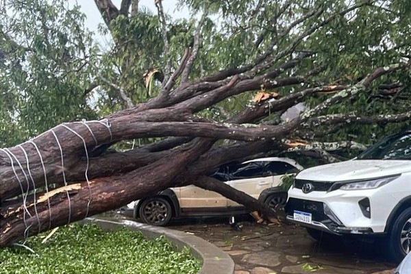 Forte tempestade com queda de granizo derruba árvores e causa prejuízos em Rio Paranaíba