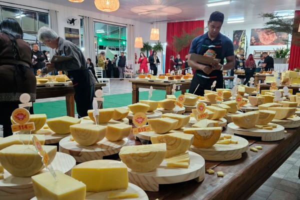 Produtores da região conquistam 20 medalhas no maior concurso de queijos artesanais do Brasil