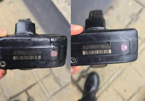 Homens rompem tornozeleiras eletrônicas e as abandonam em jardim no Centro de Patos de Minas