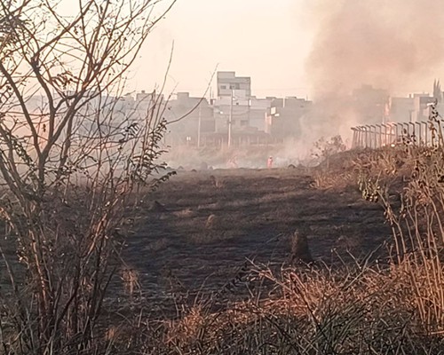 Polícia é acionada e tenta encontrar jovem que causou incêndio florestal de grandes proporções no bairro Planalto