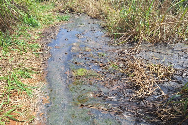 PC indicia Copasa por crime ambiental após vazamento de esgoto em área de preservação em Araxá