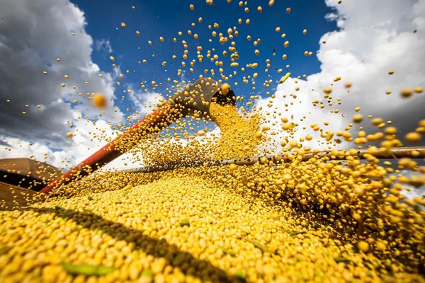 Brasil estima colheita de 354,8 milhões de toneladas de grãos