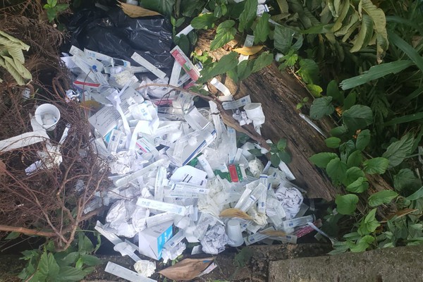 Lixo de unidade básica de saúde vai parar dentro da mata do Parque Municipal do Mocambo
