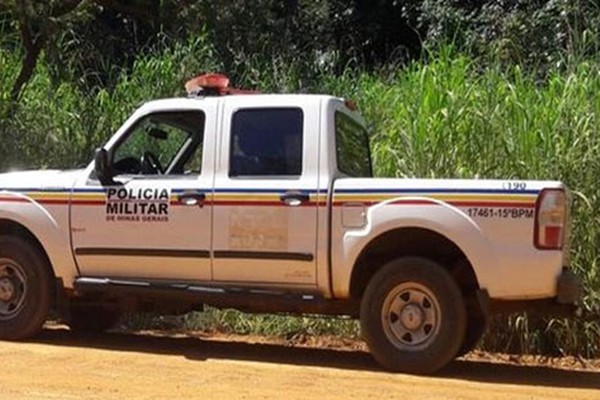 Criminosos furtam 15 bezerros em fazenda na zona rural de Presidente Olegário