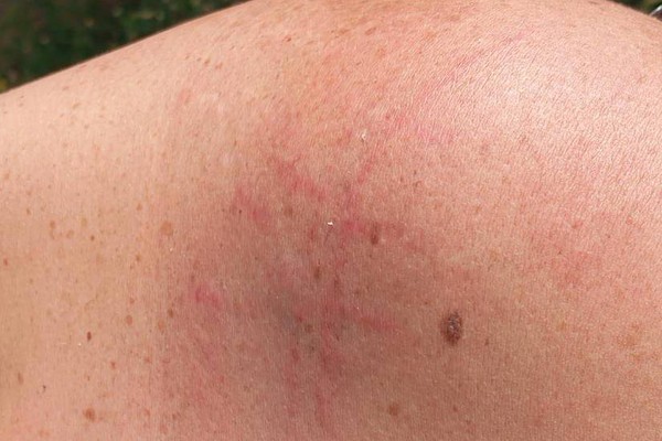 Jovem é preso por agredir companheira e danificar viatura quando era levado para o Presídio