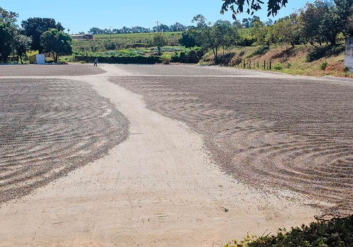 Café do Cerrado conquista o mercado internacional e exportações já chegam a 50 países