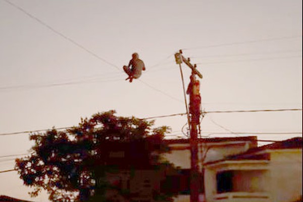 Homem sobe em poste, equilibra-se na fiação e tem resgate impressionante após 3 horas de negociação