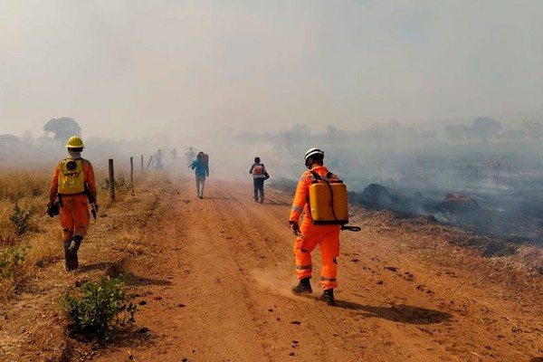 Bombeiros controlam incêndio que destruiu 20 mil hectares na região Noroeste e queimou até máquinas