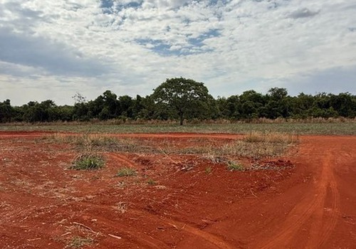 Denúncia indica que chacreamento ilegal continua vendendo terrenos em Patos de Minas
