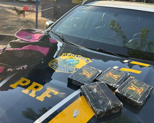 PRF prende passageira de ônibus com 4 barras de cocaína pura na BR 365