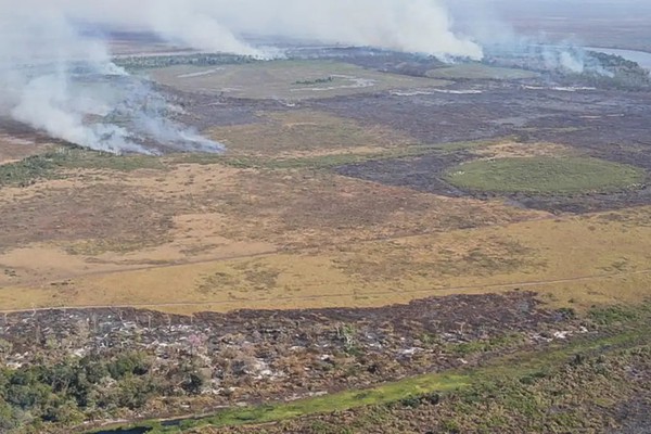 Emissão de gases por incêndios é recorde em dois estados