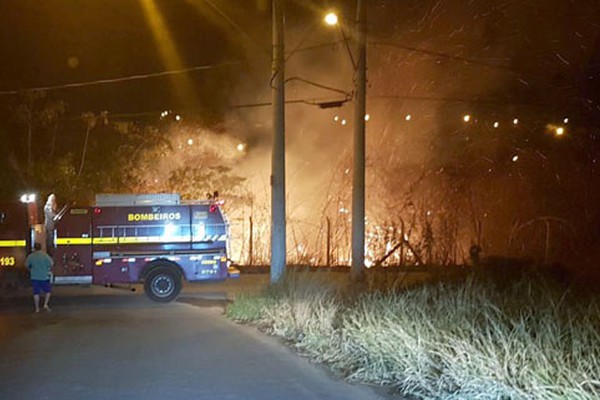 Incêndio que pode ter sido criminoso mobiliza bombeiros e policiais em área ambiental