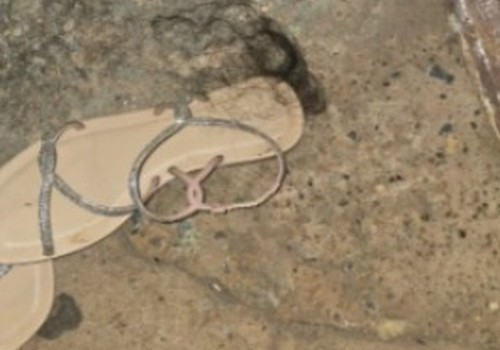 Jovem de 20 anos é presa em Patos de Minas após agredir mulher com paralisia cerebral