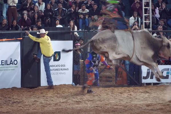 Touro pula de forma impressionante, peão se segura e comemora com chute no capacete; veja ao vivo