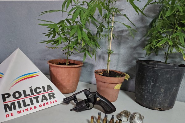 Após efetuar disparo para intimidar caminhoneiro, homem é preso com pés de maconha em Patos de Minas