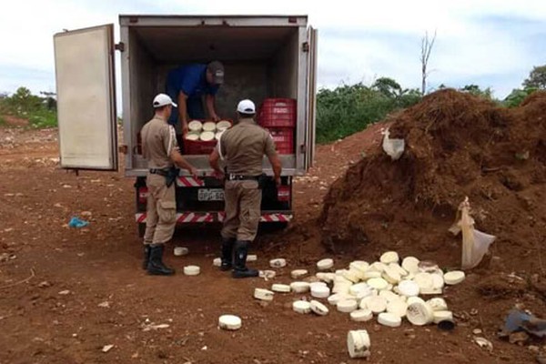 PM Rodoviária apreende 480 peças de queijo estragadas em caminhão na BR354 