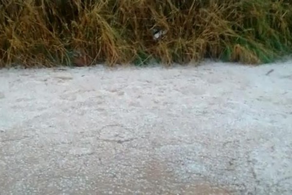 Vídeo mostra vegetação coberta de gelo após intensa chuva de granizo na região