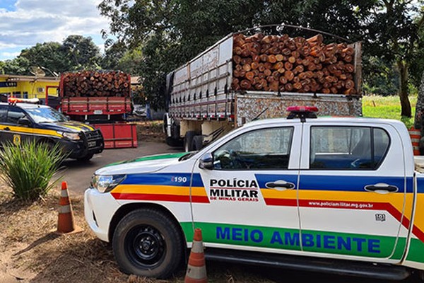 PRF e PM Ambiental apreendem dois caminhões de madeira nativa com documentação irregular na BR 365