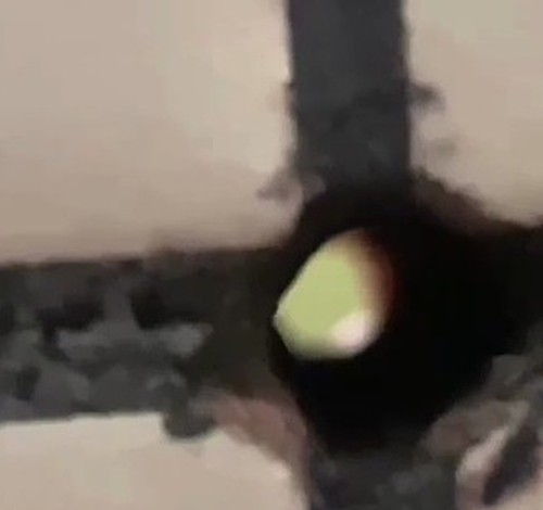 Idoso de 66 anos é indiciado por espionar adolescentes no banheiro por meio de buraco oculto na parede