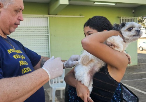 Patos de Minas inicia a Campanha de Vacinação Antirrábica; veja os locais de imunização deste sábado