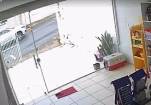 Imagens mostram caminhonete atropelando cadela deitada no Centro; fazendeiro foi preso em flagrante