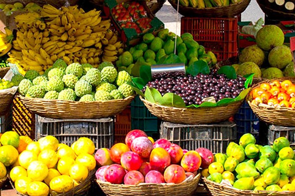 Distribuição de mudas frutíferas pelo Programa Pomar Doméstico terá início na próxima semana