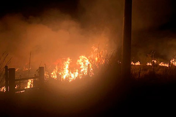 Incêndio em área de chácaras causa dano ao meio ambiente, morte de animais e gera revolta