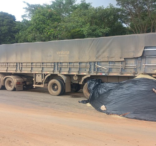 Carga de café fica espalhada pela BR-352 após colisão entre caminhões em Lagoa Formosa