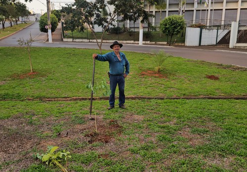 Voluntário que já plantou mais de 6 mil árvores na cidade pede que população não furte mudas
