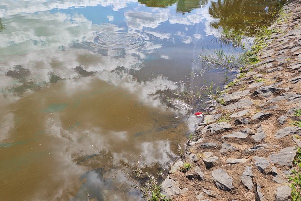 Lagoa Grande amanhece coberta por mancha semelhante a óleo e preocupa frequentadores