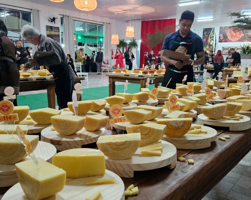 Produtores da região conquistam 20 medalhas no maior concurso de queijos artesanais do Brasil