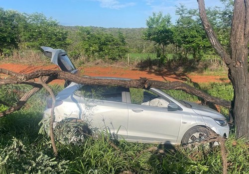 Condutora cochila ao volante e carro vai parar em árvore na MG 410