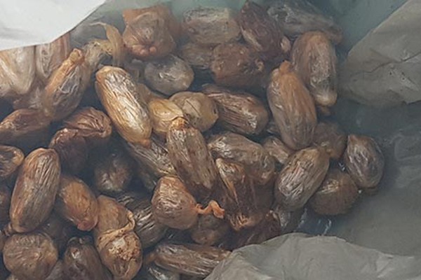 Agentes encontram 86 buchas de maconha no estômago de detento que voltava do “saidão”