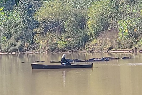 PM de Meio Ambiente flagra pesca ilegal no Rio Abaeté, prende pescador e lavra multas de mais de R$80 mil