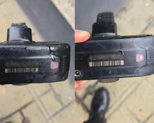 Homens rompem tornozeleiras eletrônicas e as abandonam em jardim no Centro de Patos de Minas