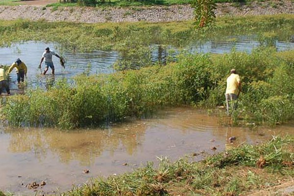 Com enxada e canoa, servidores continuam o desafio de limpar a lagoa; veja o trabalho