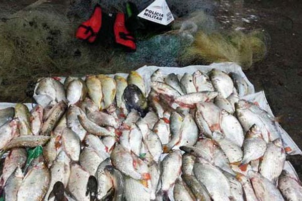 Pesca ilegal no Rio da Prata leva pescadores para a Delegacia com mais de 115kg de peixes