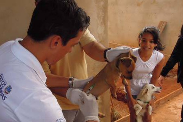 Centro de Zoooses inicia imunização de 20 mil cães e gatos em Patos de Minas