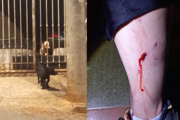 Mulher aciona a polícia após ser atacada por cão em Patos de Minas; vizinhos denunciaram outros casos