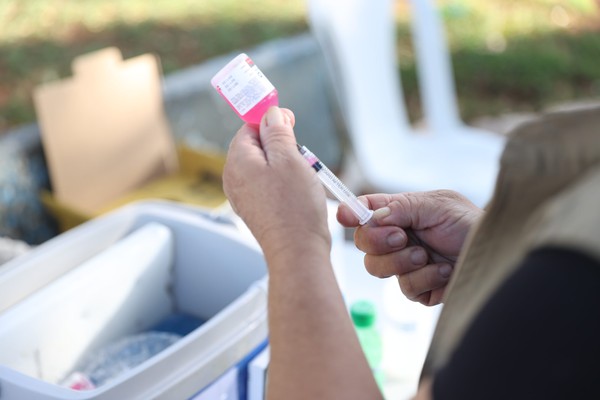 39ª edição da campanha de vacinação contra a raiva imuniza mais de 90 mil animais