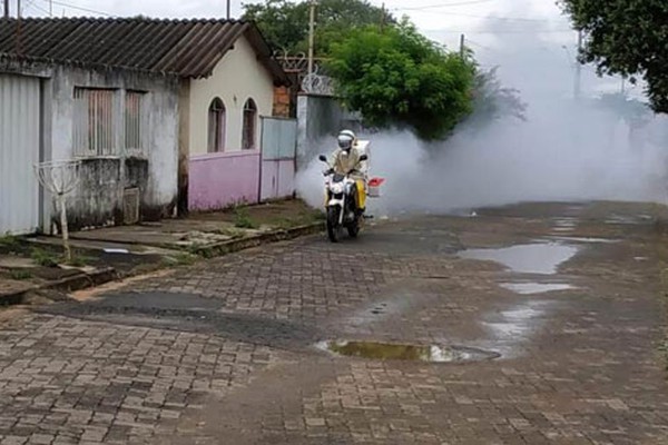 Números da dengue não param de subir e já são quase 600 notificações em Patos de Minas 