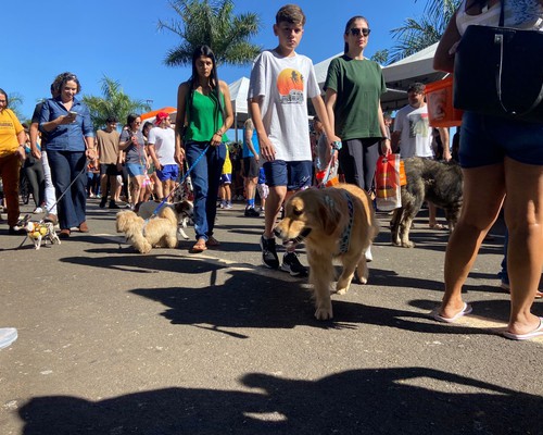Cãominhada reúne famílias, pets e solidariedade na Orla da Lagoa Grande em Patos de Minas
