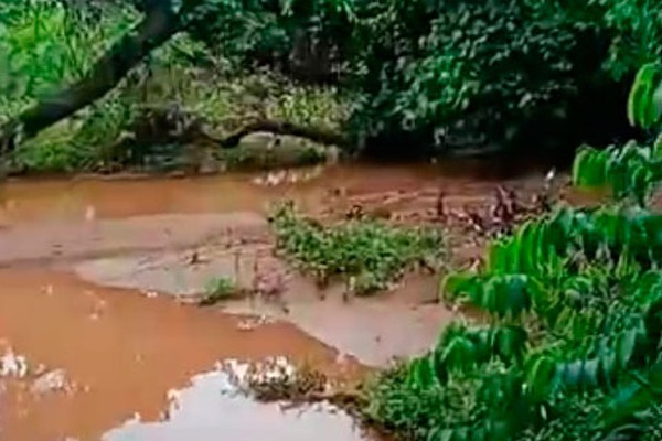 Chuva volta a causar estragos no Parque Municipal do Mocambo e Codema pede providências