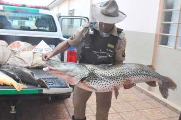 PM Ambiental apreende 75 kg de peixe, materiais de pesca e lavra multa em mais de R$8 mil