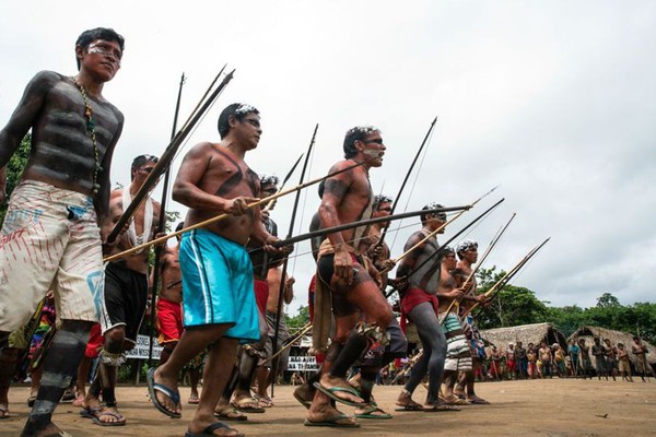 Governo cria grupo para tratar do combate a crimes em terras indígenas