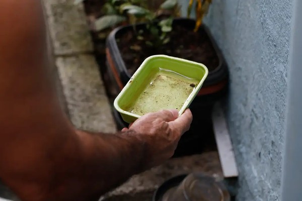 El Niño pode aumentar casos de chikungunya e dengue no Brasil