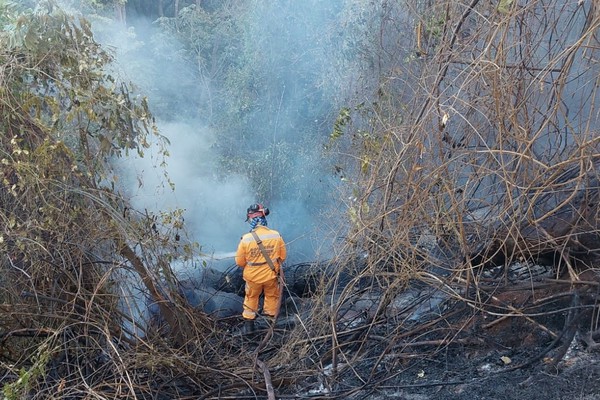 Incêndio atinge área de mata do Parque do Mocambo e mobiliza Bombeiros em Patos de Minas