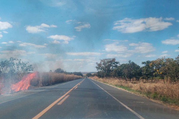 Mato, fogo e buracos: motoristas enfrentam adversidades na BR 365