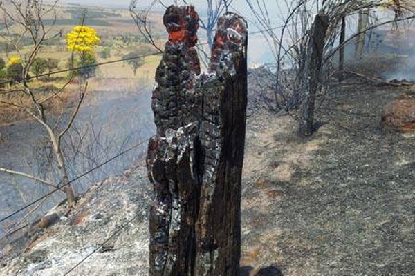 Incêndio criminoso queima cerca de 10 ha de pastagem às margens da MGC 354